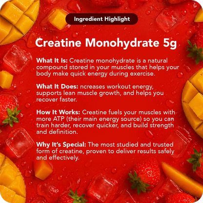 Creatine + Magnesium L-Threonate (Magtein®)