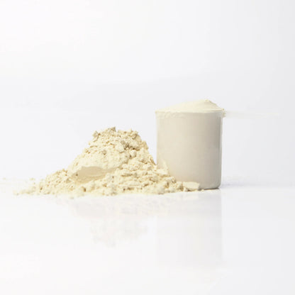 Vegan Protein
